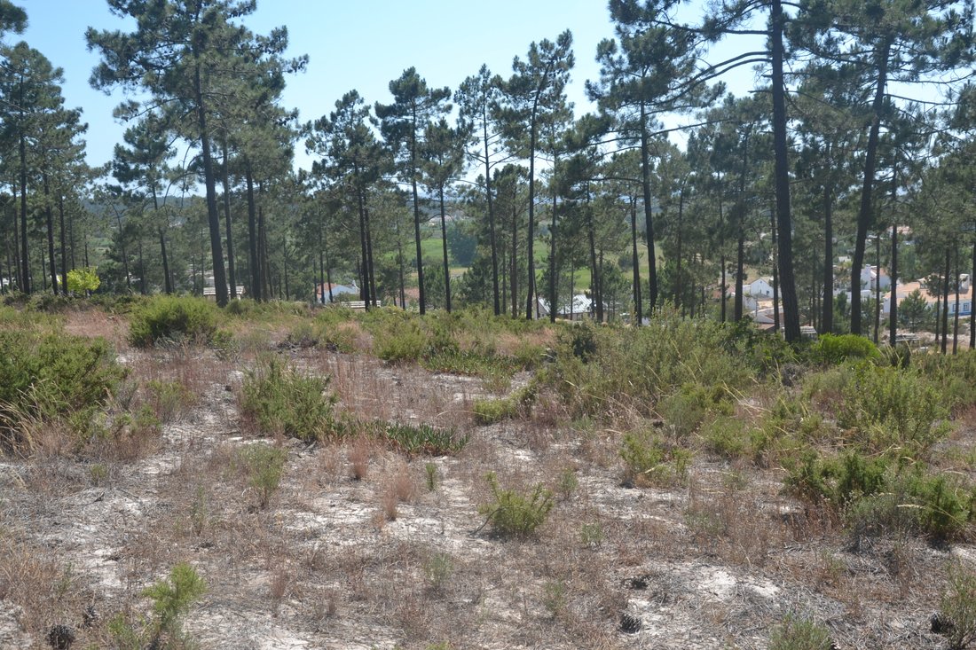 Land in Carvalhal, Setubal, Portugal 2 - 14275280