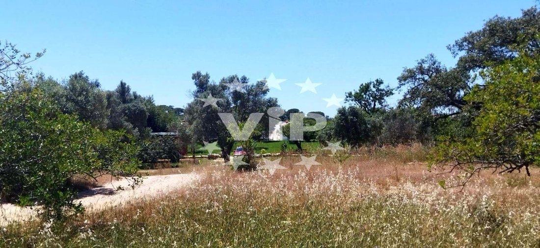 Farm Ranch in Quarteira, Algarve, Portugal 4 - 14280127