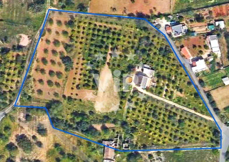 Farm Ranch in Quarteira, Algarve, Portugal 1 - 14280127