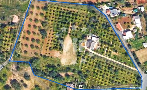 Azienda agricola a Quarteira, Algarve, Portogallo 1
