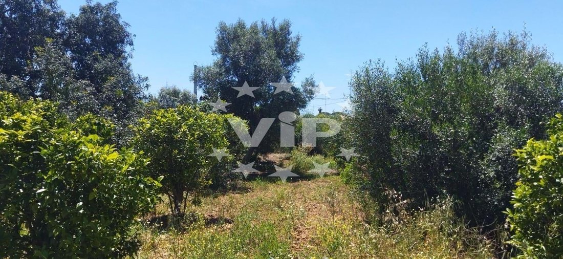 Farm Ranch in Quarteira, Algarve, Portugal 5 - 14280127