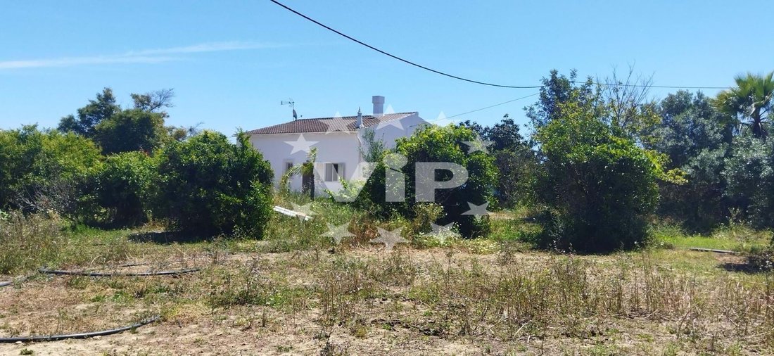 Farm Ranch in Quarteira, Algarve, Portugal 3 - 14280127
