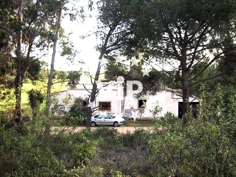 Land in Montenegro, Algarve, Portugal 5 - 14280027