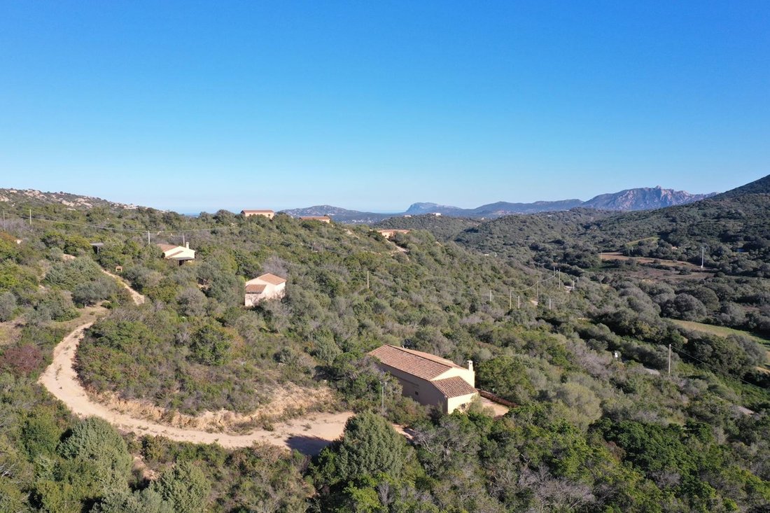Villa in Peripheral Fractions, Olbia, Sardinia 2 - 14284871