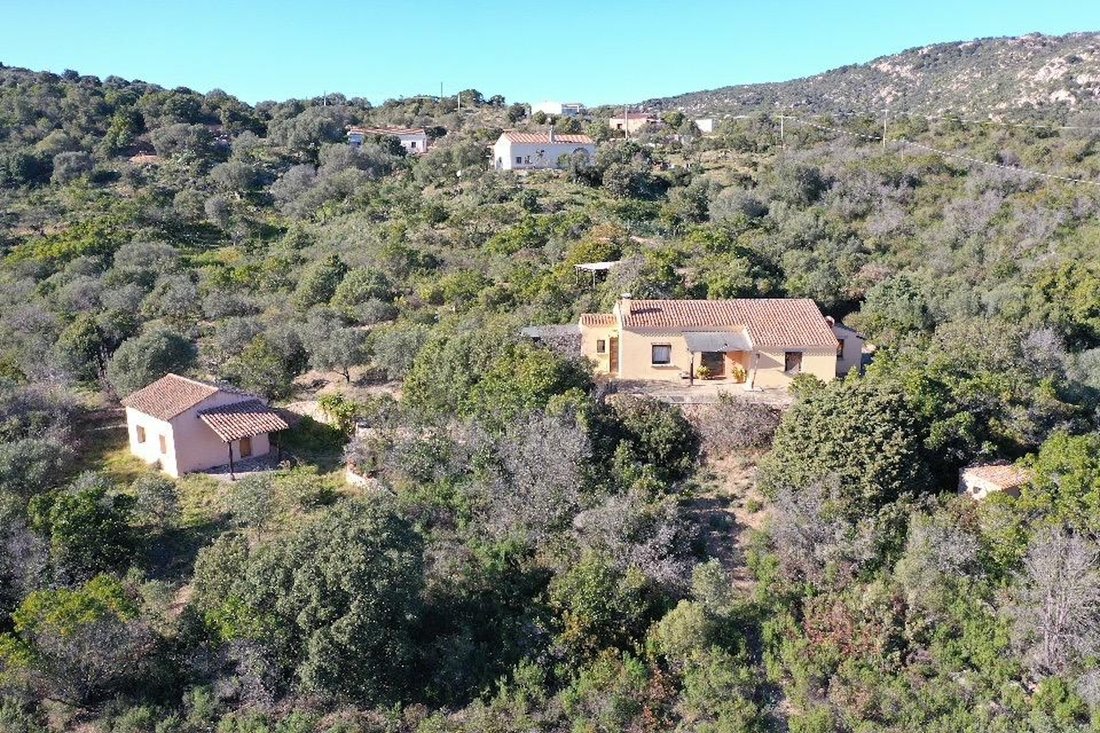 Villa in Peripheral Fractions, Olbia, Sardinia 1 - 14284871