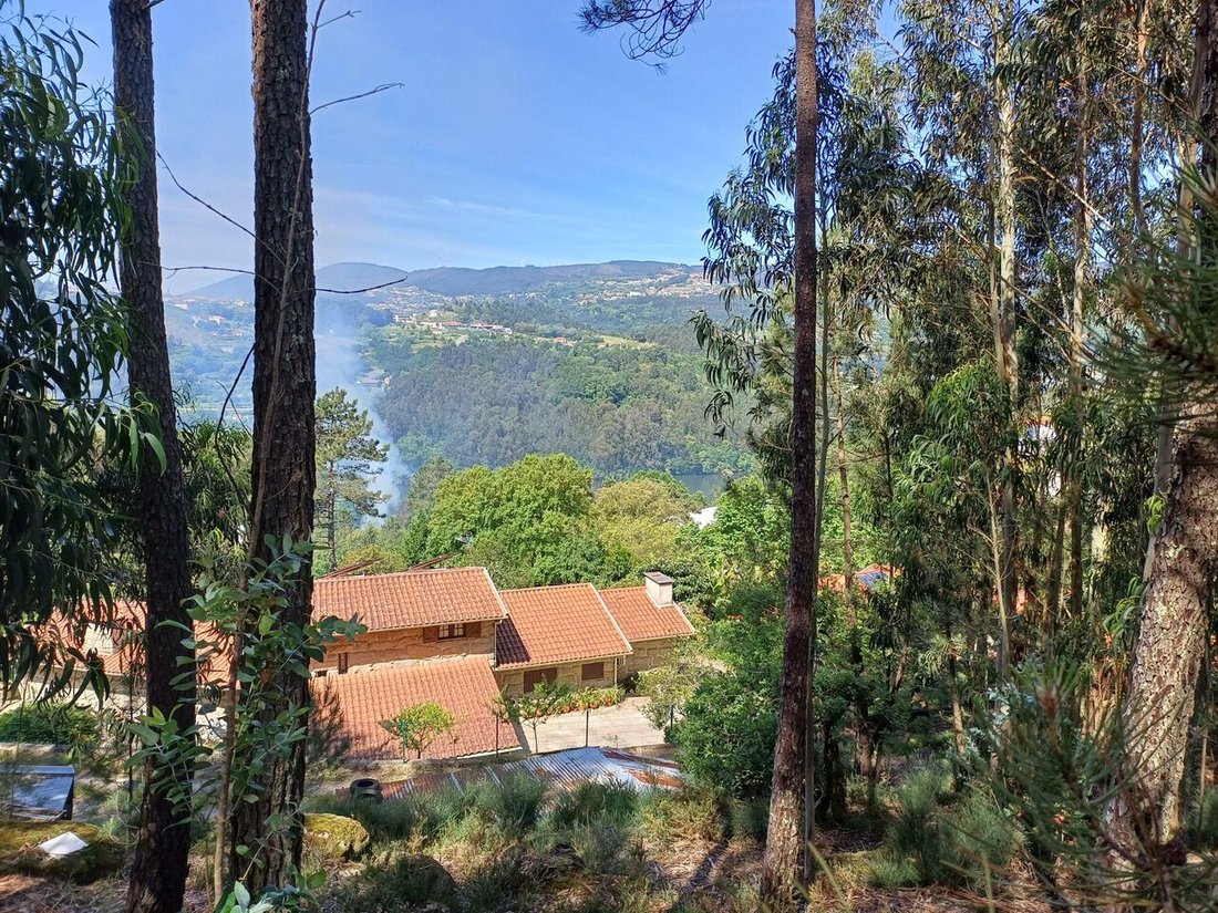 Land in Alpendorada, Varzea e Torrao, Porto District, Portugal 2 - 14288623