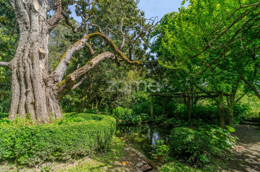 Finca à Sarzedo, Viseu, Portugal 1 - 14287388