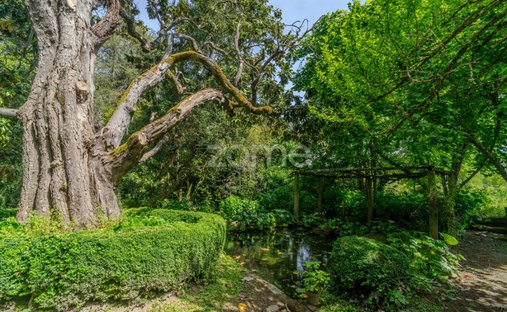Finca à Sarzedo, Viseu, Portugal 1