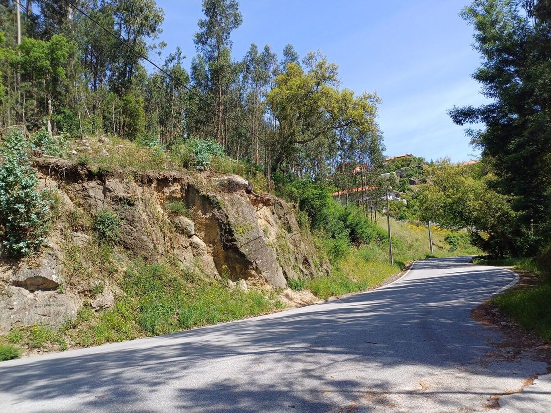 Land in Alpendorada, Varzea e Torrao, Porto District, Portugal 4 - 14288623