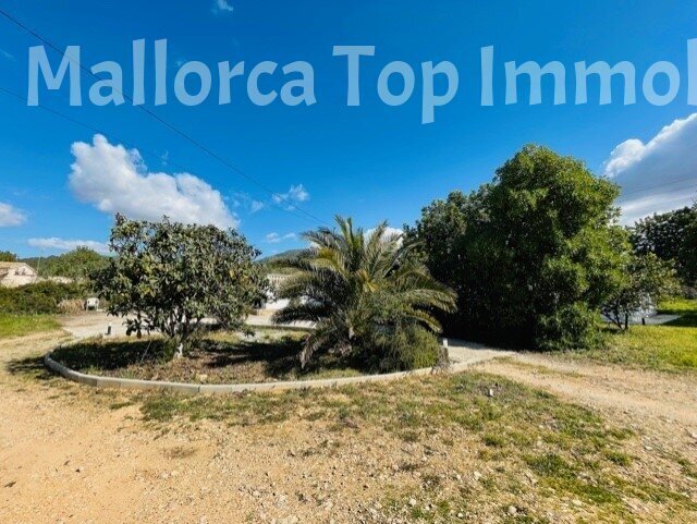 Villa in Llucmajor, Balearic Islands, Spain 3 - 14291450