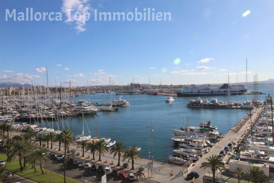 Wohnung in Palma, Balearische Inseln, Spanien 5 - 14287923