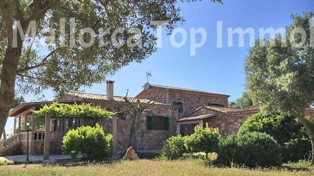 Villa in Cala d'Or, Santanyi, Balearic Islands 3 - 14288062
