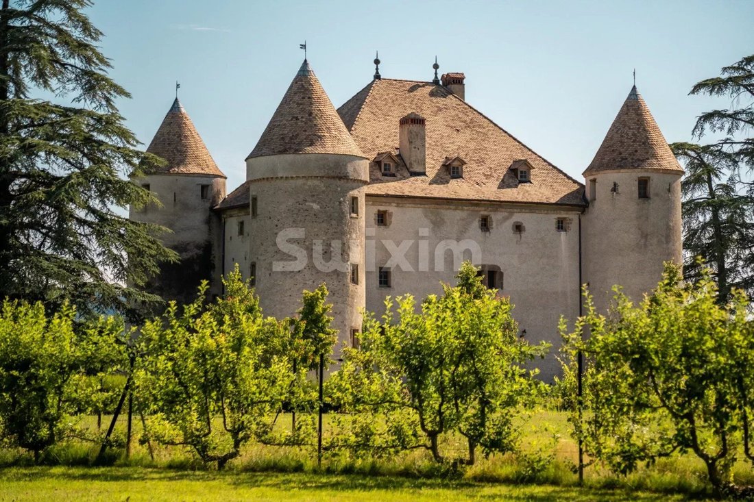 House in Lully, Auvergne-Rhône-Alpes, France 4 - 14287881