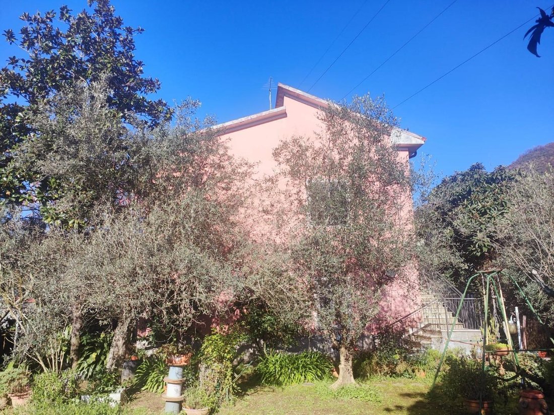Stadium - Sant'Antonio - Marasio, Marina di Carrara, Tuscany 2 - 14291538
