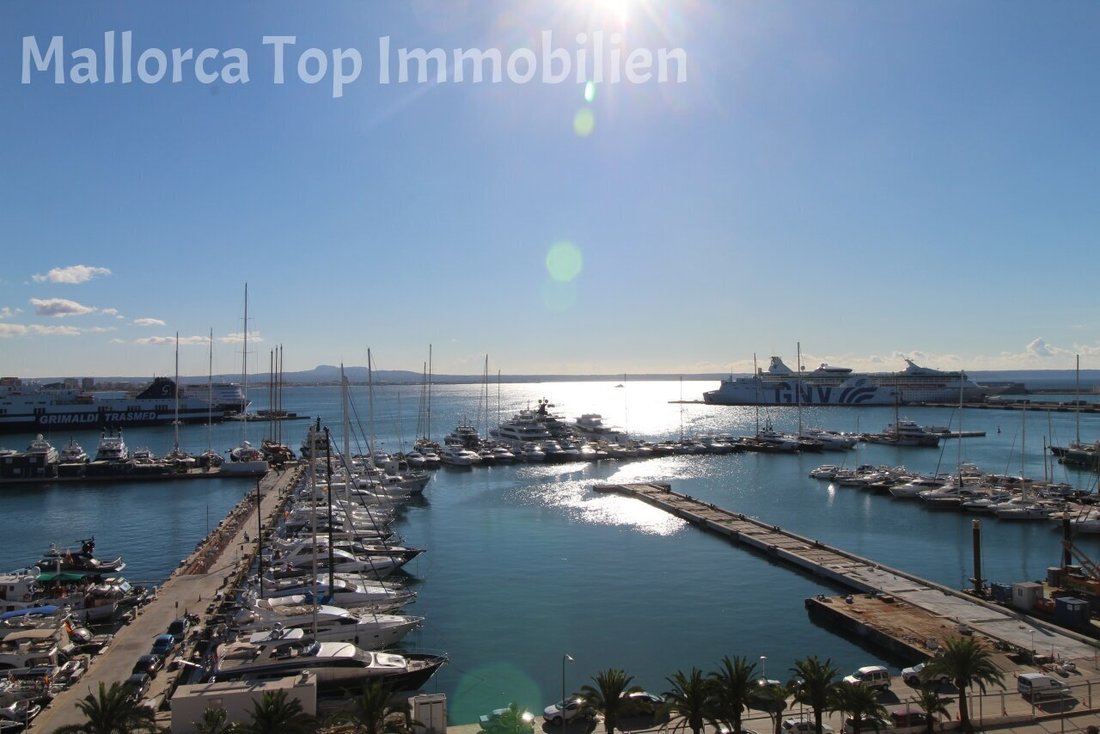 Wohnung in Palma, Balearische Inseln, Spanien 4 - 14287923