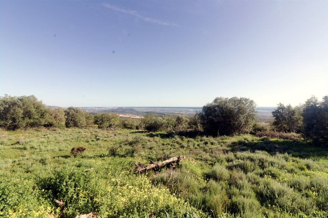House in Boliqueime, Algarve, Portugal 4 - 14288655