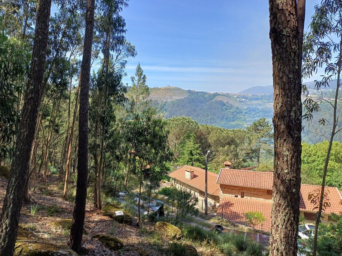 Land in Alpendorada, Varzea e Torrao, Porto District, Portugal 3 - 14288623