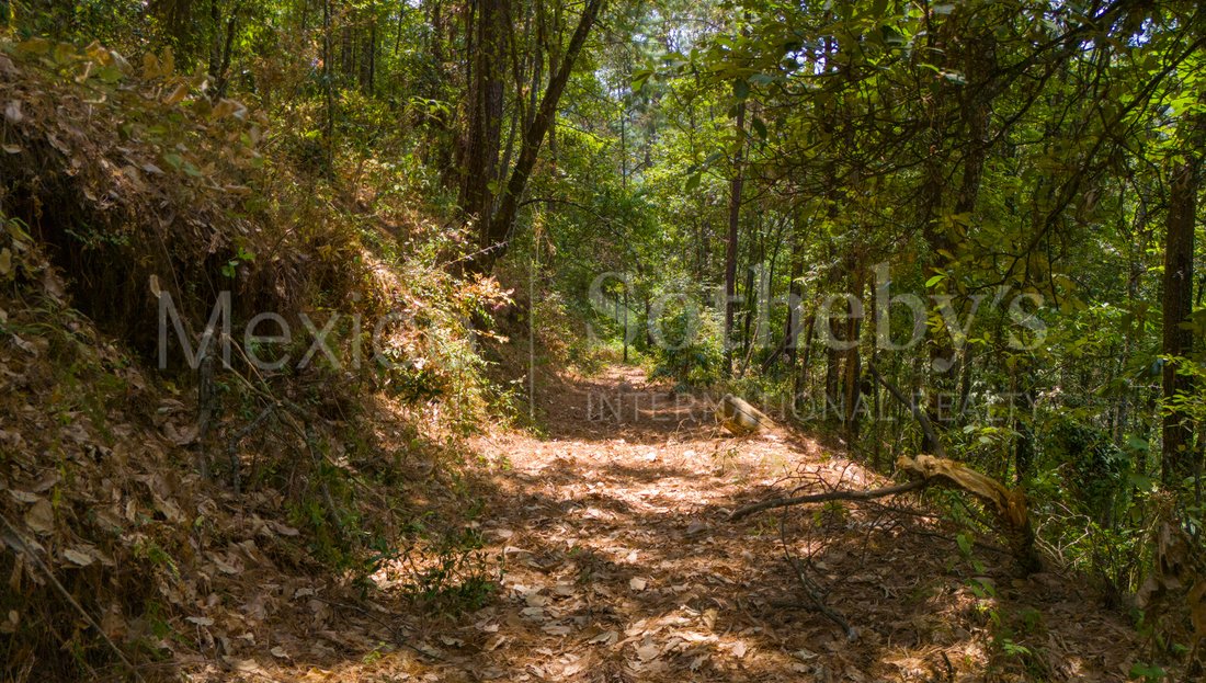 Land in Santa María Pipioltepec, State of Mexico, Mexico 5 - 14294114
