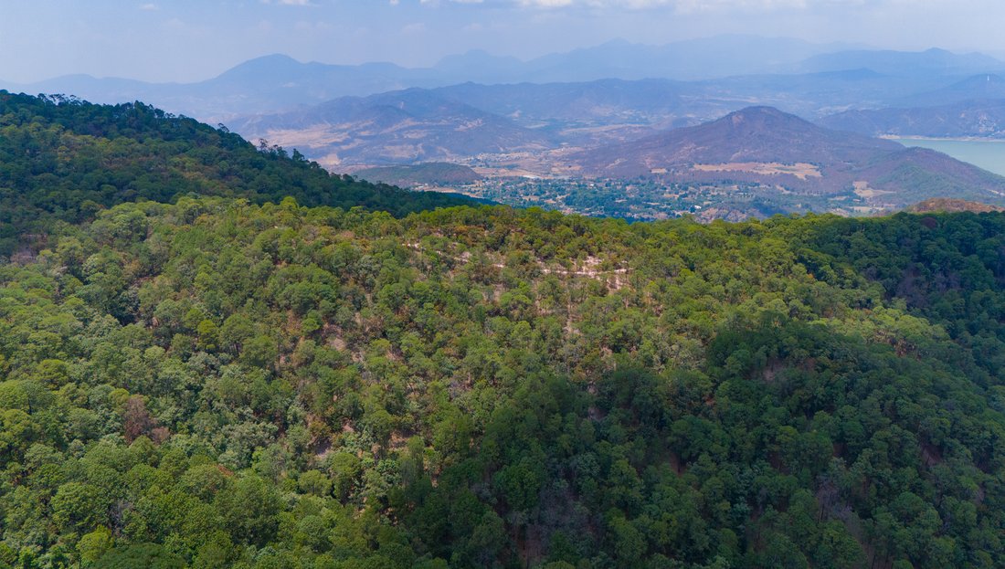 Land in Santa María Pipioltepec, State of Mexico, Mexico 1 - 14294114
