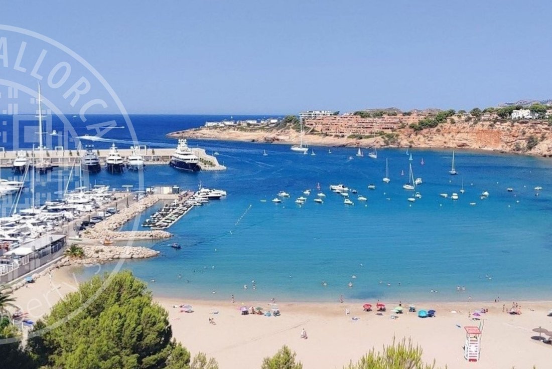 Terrain à Îles Baléares, Espagne 5 - 11330603