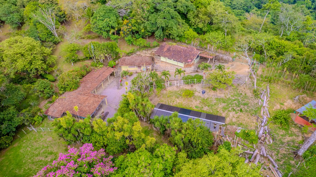 Finca in Ciudad Colón, San José Province, Costa Rica 5 - 14294311