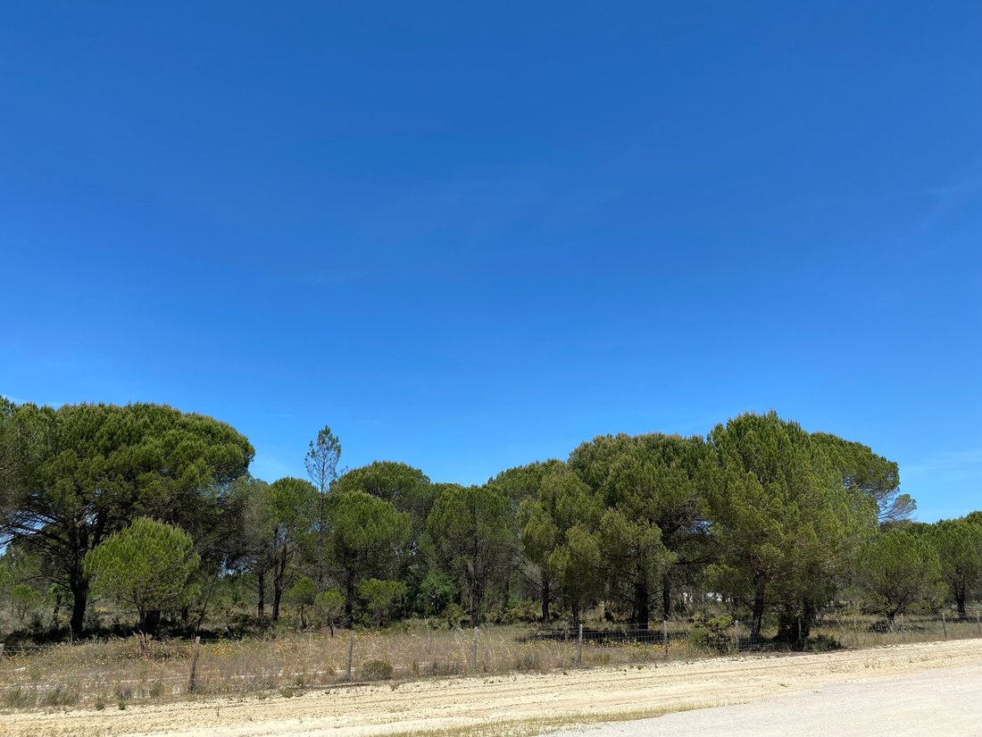 Land in Grandola e Santa Margarida da Serra, Setubal, Portugal 5 - 14294517