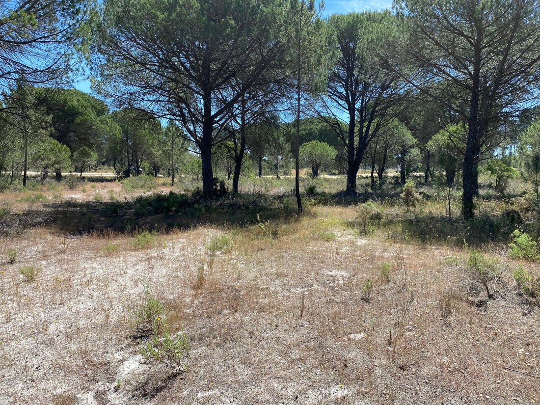 Land in Grandola e Santa Margarida da Serra, Setubal, Portugal 2 - 14294517