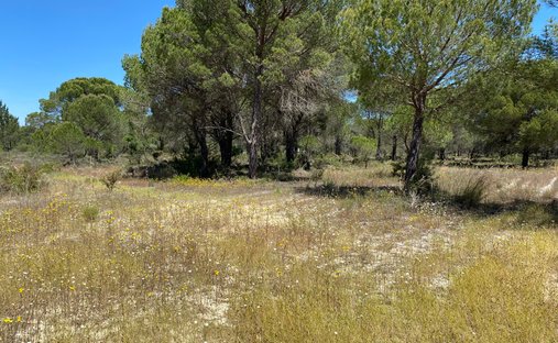 Land in Grandola und Santa Margarida da Serra, Setúbal Municipality, Portugal 1