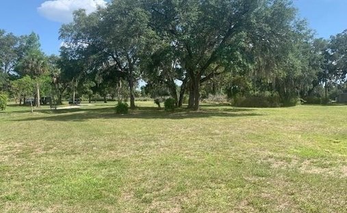 Land in Alva, Florida, Vereinigte Staaten 1