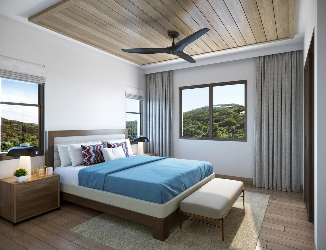 House in Cruz Bay, St. John, U.S. Virgin Islands 5 - 14295219