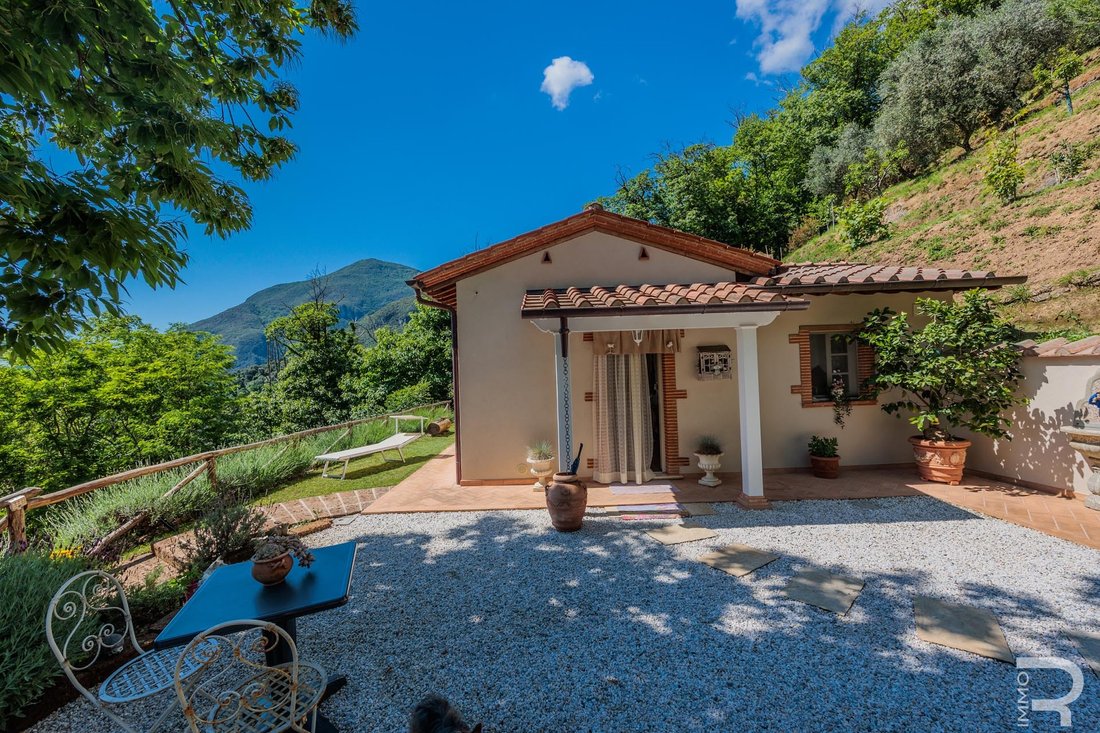 Villa in Camaiore, Tuscany, Italy 2 - 14296901