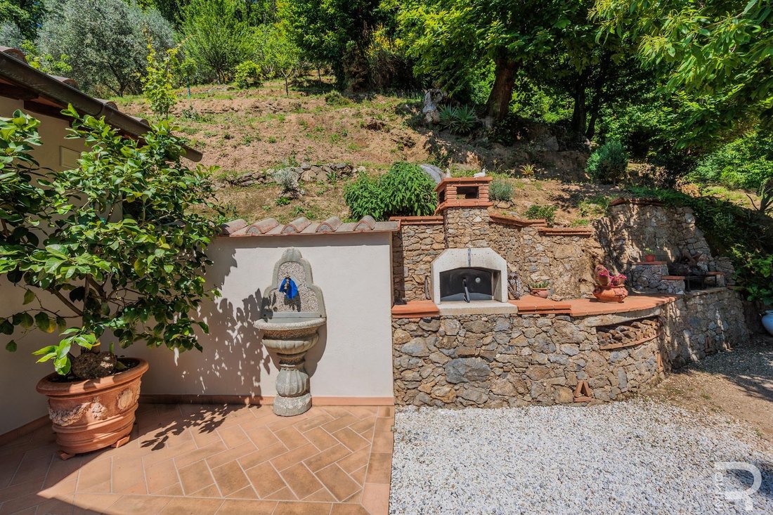 Villa in Camaiore, Tuscany, Italy 5 - 14296901