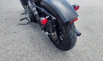 2019 Harley-Davidson XL883N Iron 883