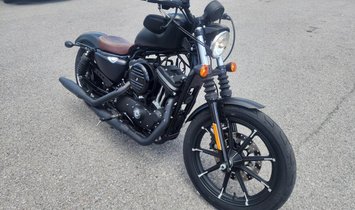 2019 Harley-Davidson XL883N Iron 883