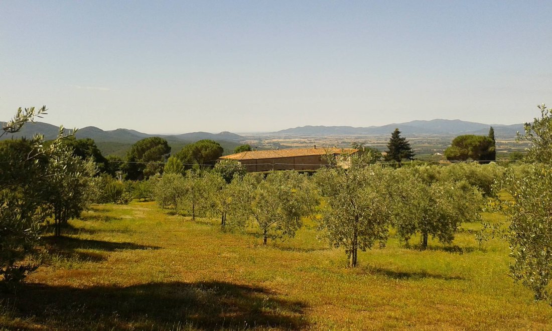 Country House in Roccastrada, Tuscany, Italy 4 - 14300518