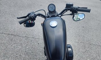 2019 Harley-Davidson XL883N Iron 883