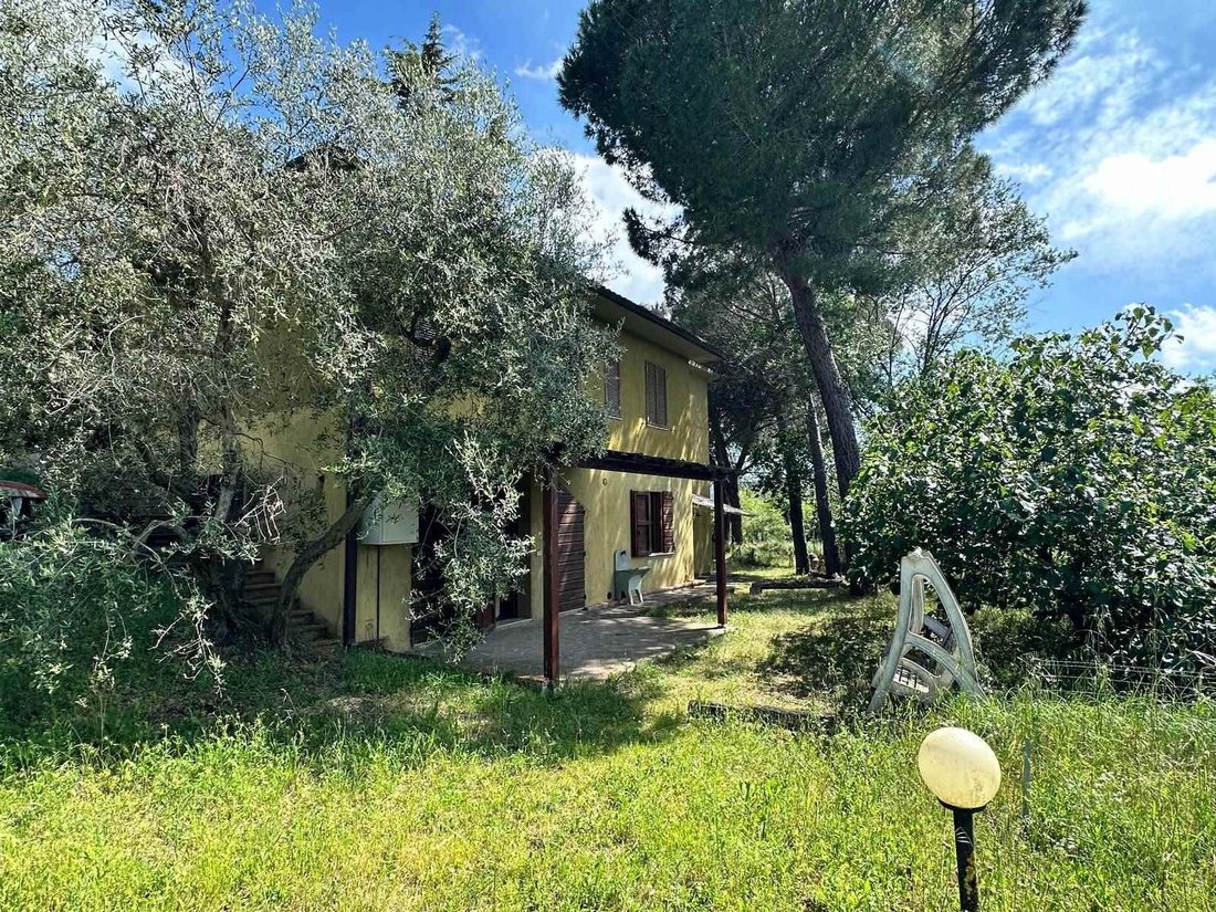 Grosseto, Tuscany, Italy 2 - 14297774