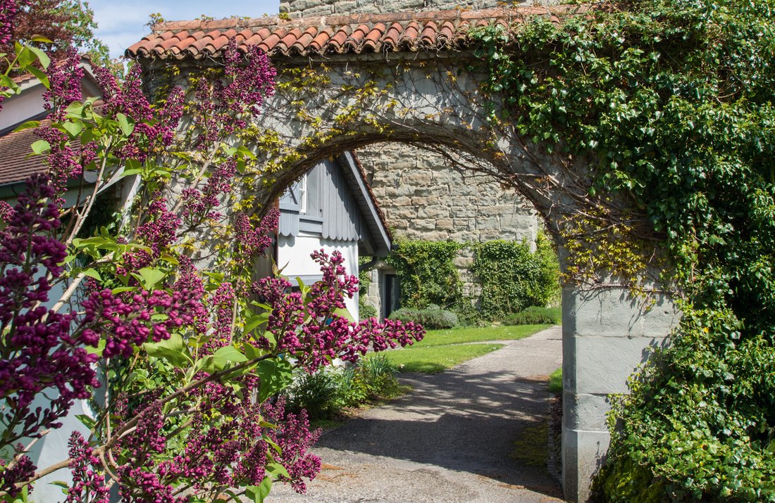 Haus in Untereggen, St. Gallen, Schweiz 2 - 14299065