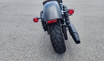 2019 Harley-Davidson XL883N Iron 883