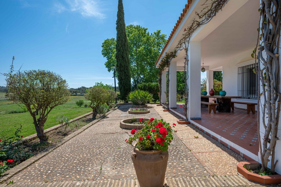 Estate in Huelva, Andalusia, Spain 4 - 14299496