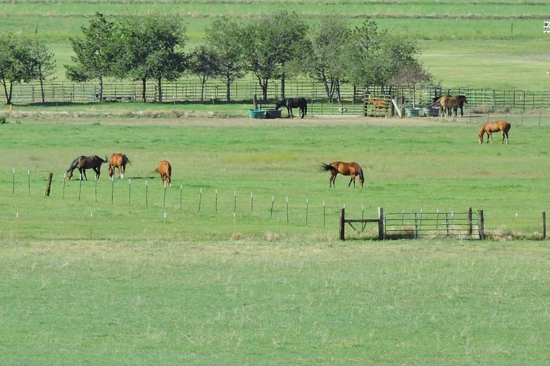 Land in Gardnerville, Nevada, United States 3 - 14297490