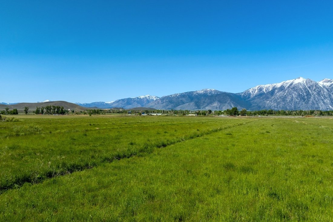 Land in Gardnerville, Nevada, United States 4 - 14297490