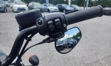 2019 Harley-Davidson XL883N Iron 883