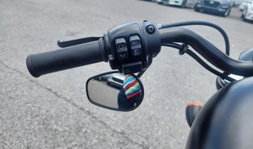 2019 Harley-Davidson XL883N Iron 883