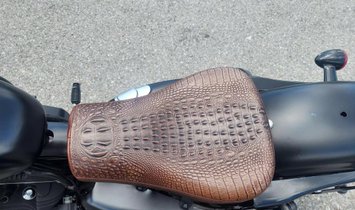 2019 Harley-Davidson XL883N Iron 883