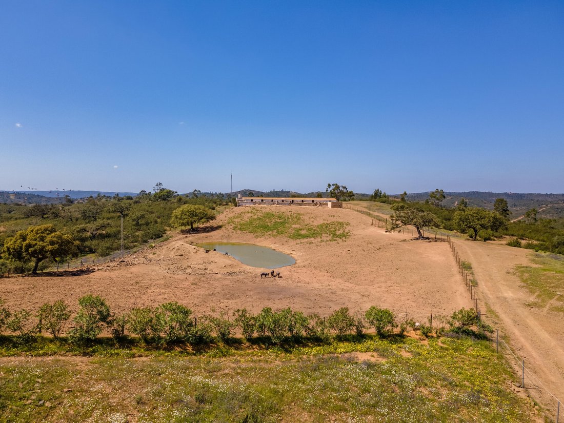 Estate in Huelva, Andalusia, Spain 5 - 14299496