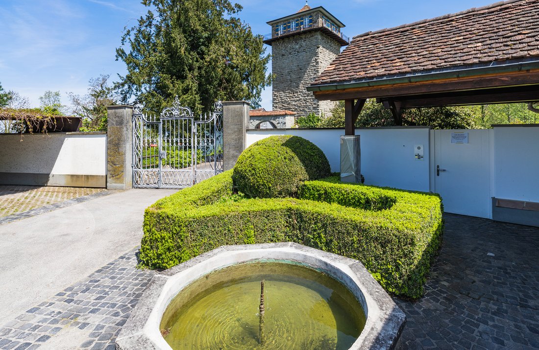 Haus in Untereggen, St. Gallen, Schweiz 5 - 14299065