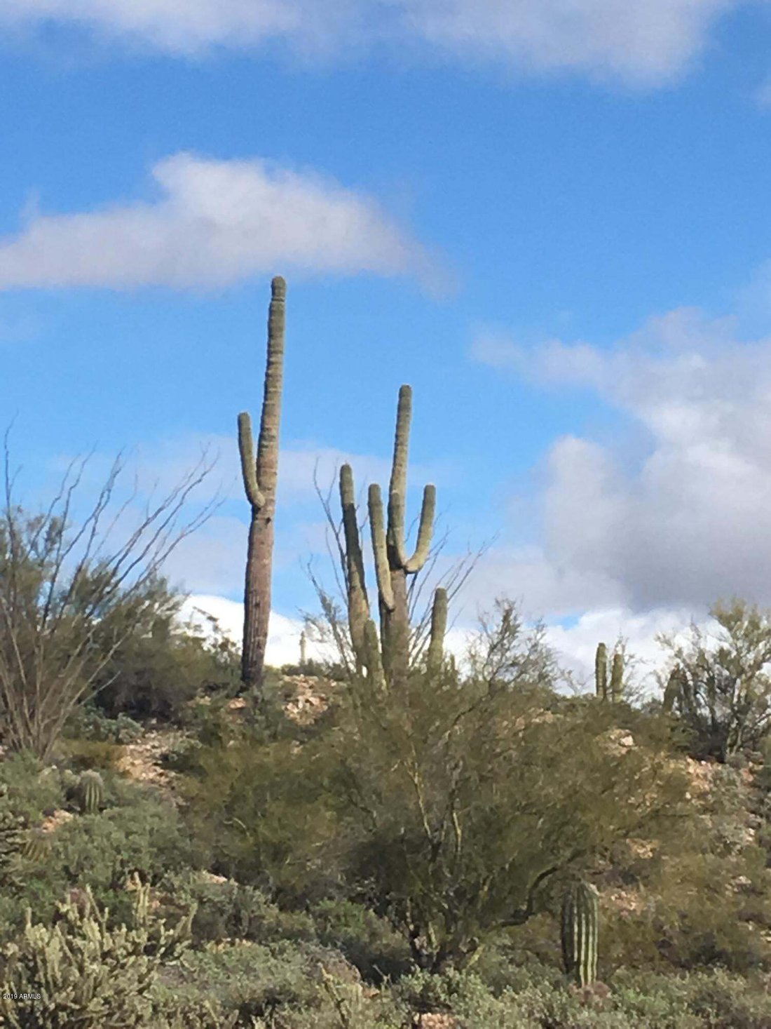 Land in Wickenburg, Arizona, United States 5 - 12769600