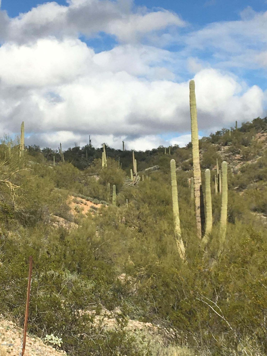 Land in Wickenburg, Arizona, United States 1 - 12769600