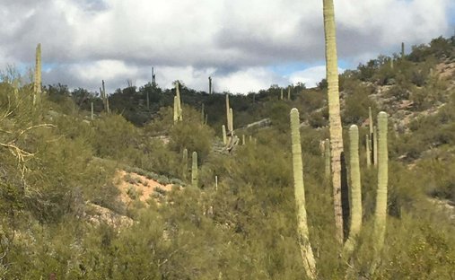 Land in Wickenburg, Arizona, United States 1